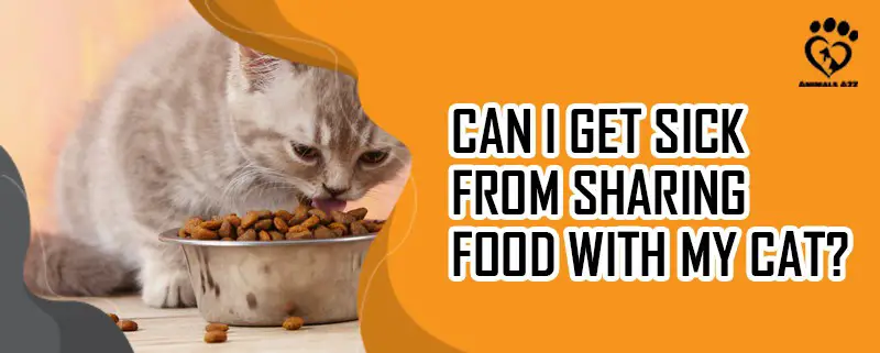 Kann meine Katze krank werden, wenn sie mein Futter mit mir teilt?