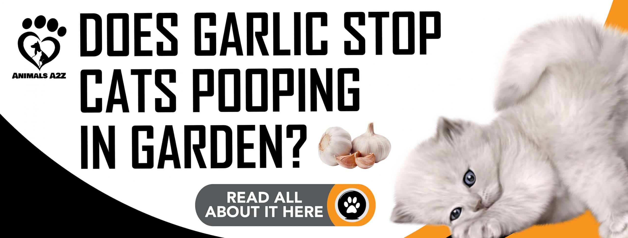 Hält Knoblauch Katzen davon ab, in den Garten zu kacken?