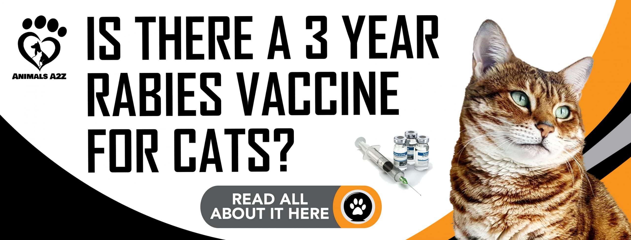Gibt es einen 3-Jahres-Tollwut-Impfstoff für Katzen?