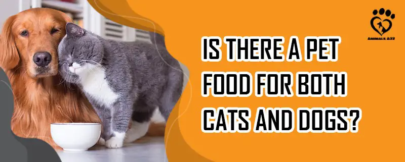 Gibt es eine Tiernahrung für Katzen und Hunde gleichermaßen?