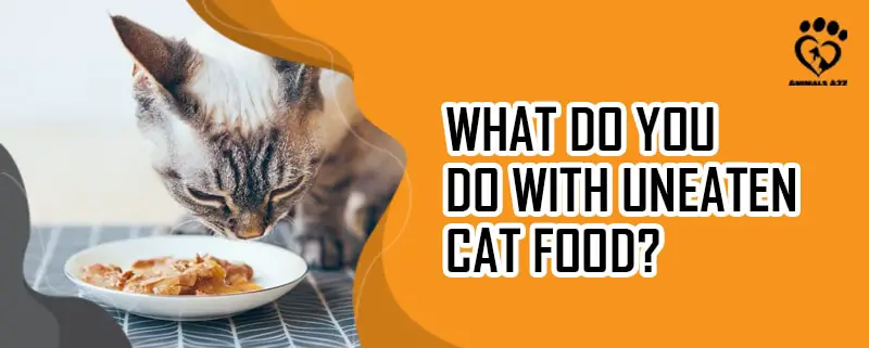 Was tun mit nicht gefressenem Katzenfutter?