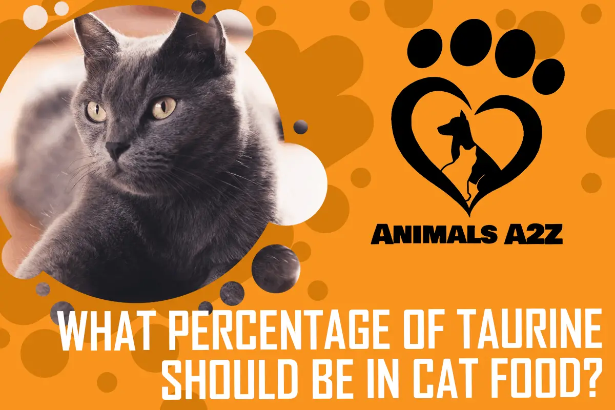 Wie viel Prozent Taurin sollte im Katzenfutter enthalten sein?