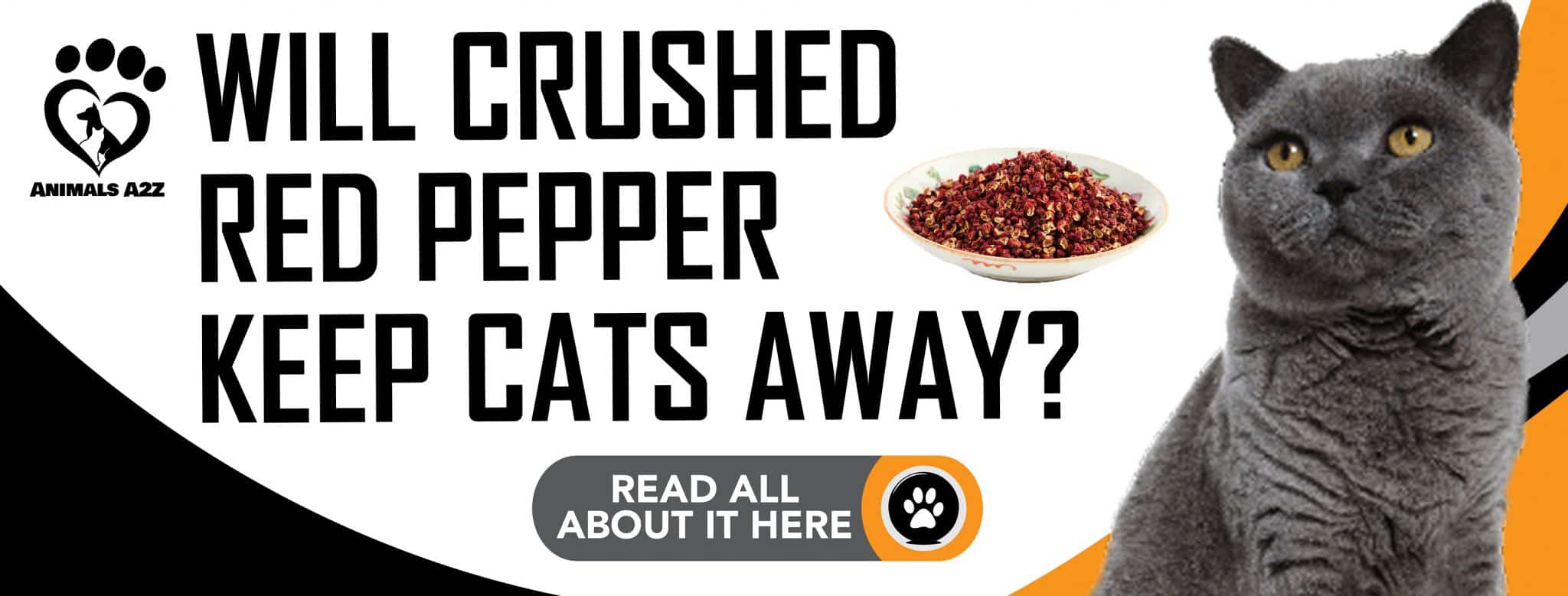 Hält zerdrückte rote Paprika Katzen fern? [ Alle Infos ]