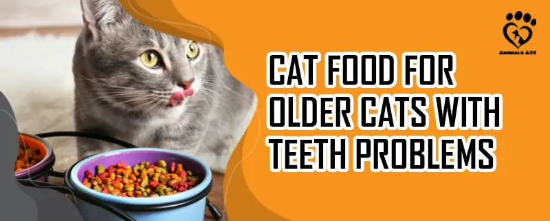 Katzenfutter für ältere Katzen mit Zahnproblemen