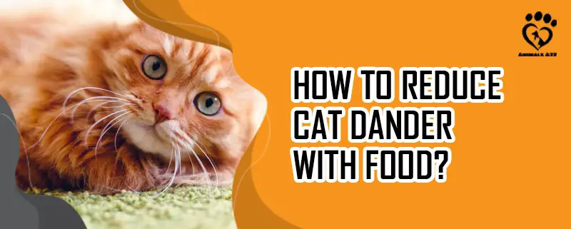 Wie kann man Katzenschuppen mit dem Futter reduzieren?