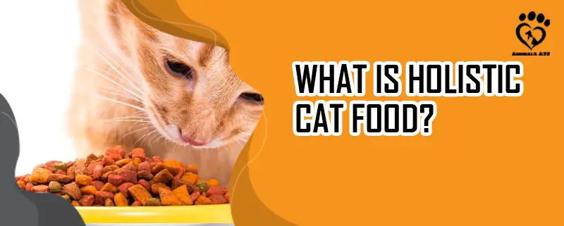 Was ist ganzheitliche Katzennahrung?