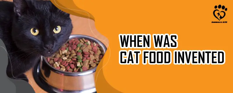Wann wurde das Katzenfutter erfunden?