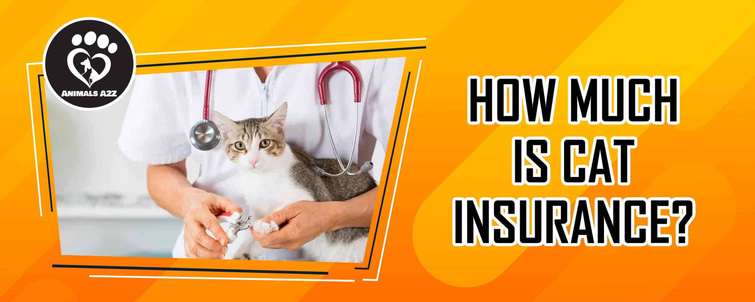 Wie viel kostet eine Katzenversicherung?